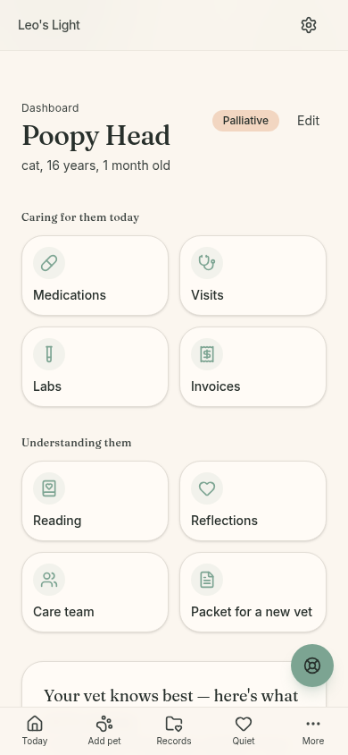 The Leo's Light dashboard with cards for medications, visits, labs, invoices, reading, reflections, care team, and a packet for a new vet.