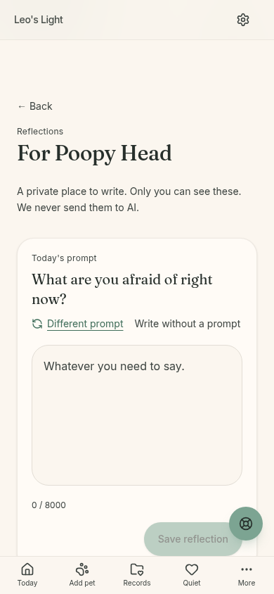 The private Reflections page with a soft prompt and a textbox.